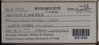 Image Associated With the Occurence
